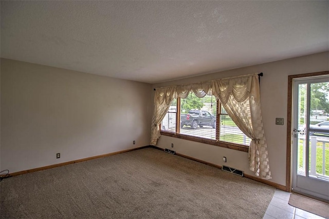 335 E Walnut St, Dalton City, IL 61925 - unfurnished room with plenty of natural light, light carpet, a textured ceiling, and baseboards