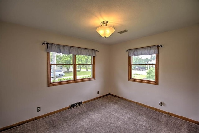 335 E Walnut St, Dalton City, IL 61925 - carpeted spare room with healthy amount of natural light and baseboards