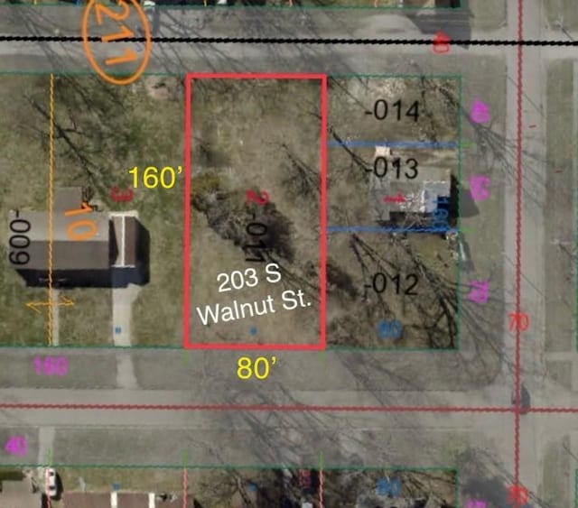 203 S Walnut St, Pana, IL 62557 - photo 7