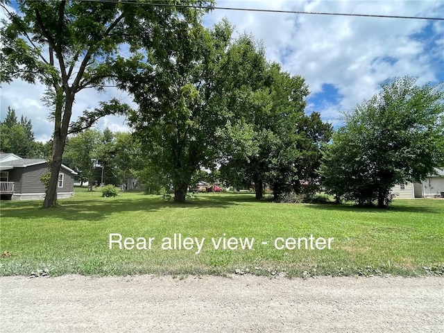 203 S Walnut St, Pana, IL 62557 - photo 1