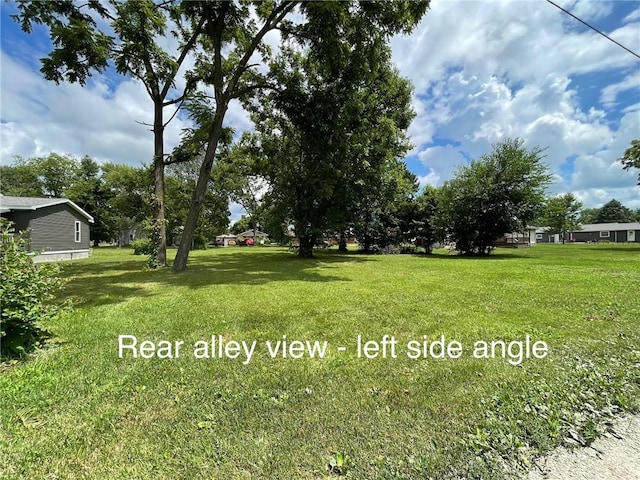 203 S Walnut St, Pana, IL 62557 - photo 6