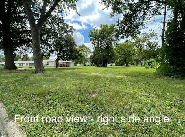 203 S Walnut St, Pana, IL 62557 - photo 3