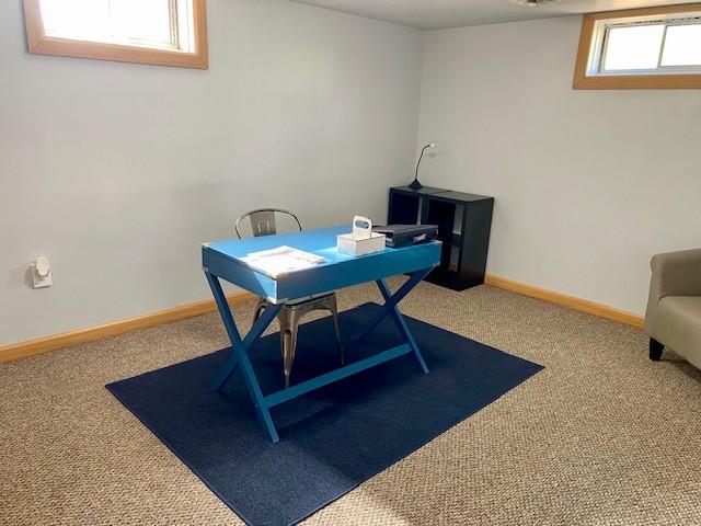 4985 Lake Rd, Mattoon, IL 61938 - photo 18