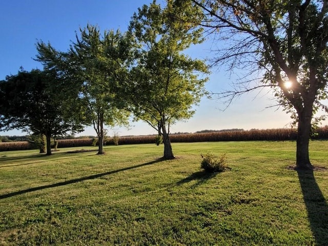 view of yard featuring a rural view