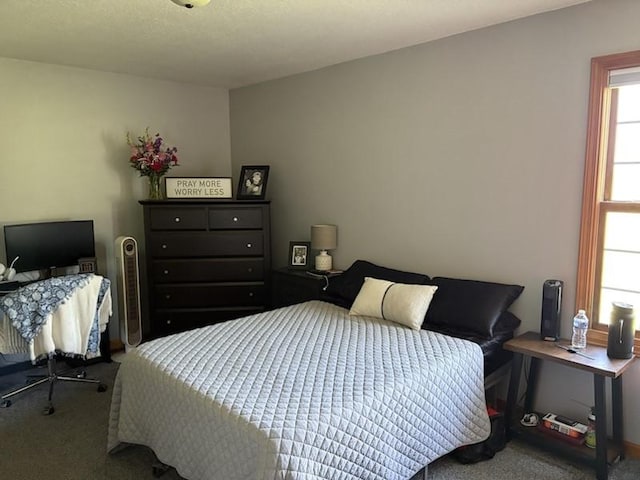 34A Woolery Dr, Neoga, IL 62447 - view of carpeted bedroom