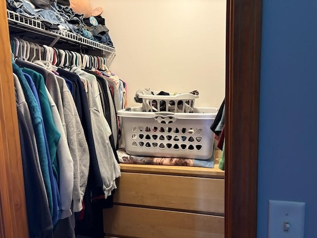 34A Woolery Dr, Neoga, IL 62447 - view of spacious closet