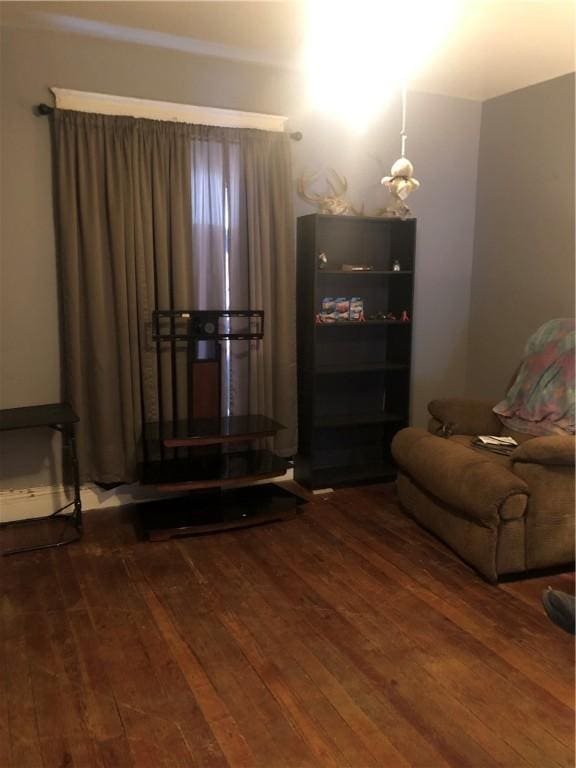 living room featuring hardwood / wood-style floors