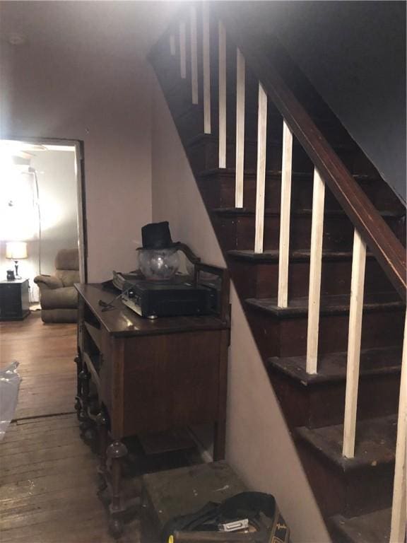 stairway with hardwood / wood-style floors