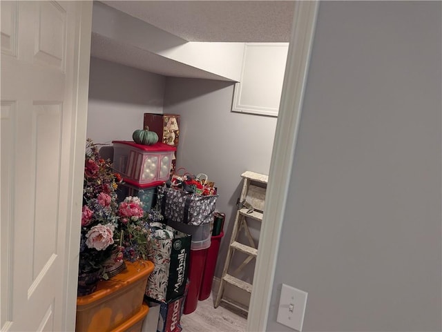 spacious closet featuring light wood-type flooring