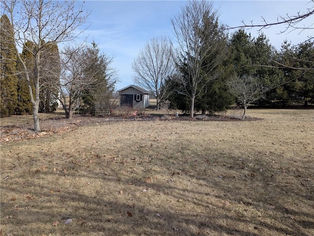 view of yard with an outbuilding