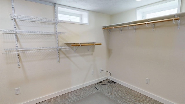 spacious closet with carpet