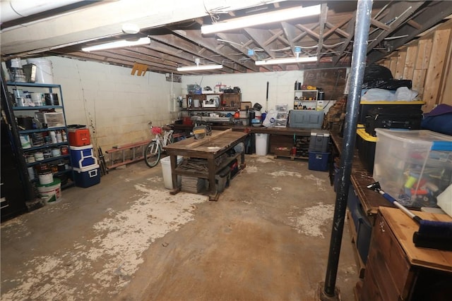 basement featuring a workshop area