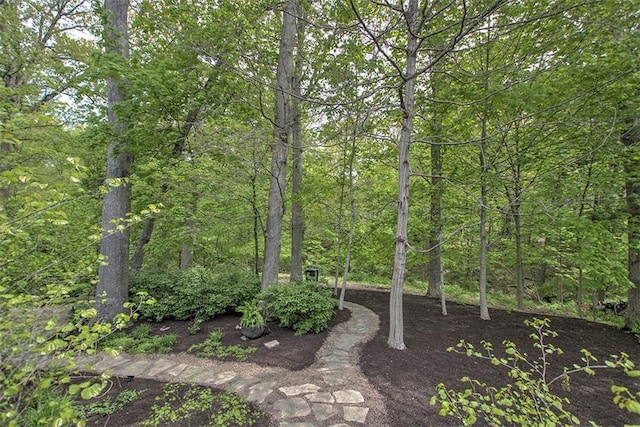4140 S Lake Ct, Decatur, IL 62521 - view of yard featuring a forest view