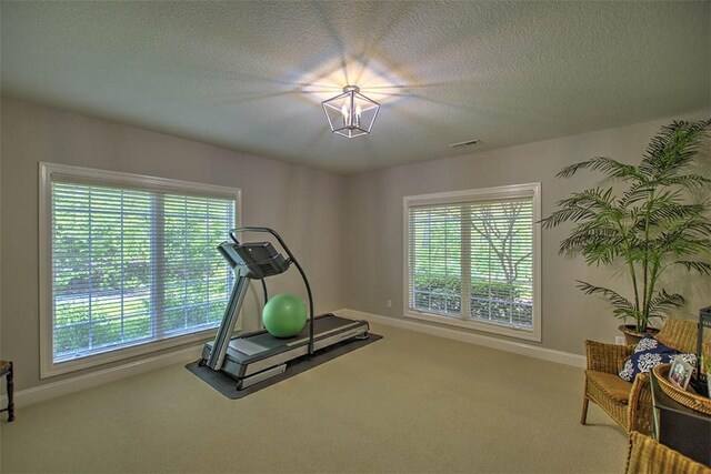 4140 S Lake Ct, Decatur, IL 62521 - workout area featuring carpet flooring, a healthy amount of sunlight, visible vents, and a textured ceiling