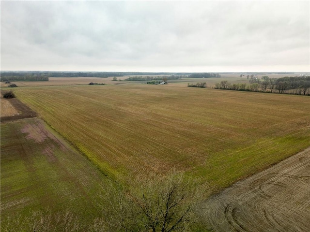 12660 Long Rd, Danville, IL 61834 - photo 19
