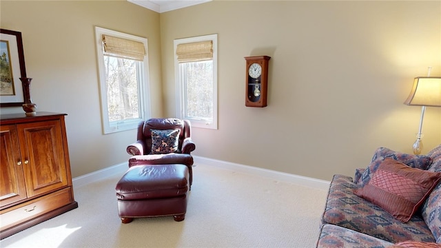 living area with light carpet