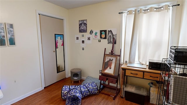 sitting room featuring wood-type flooring