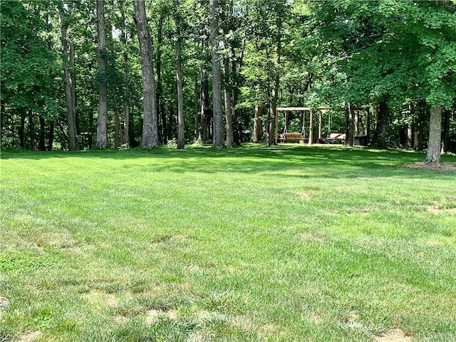 15690 E 1100th Ave, Effingham, IL 62401 - view of grassy yard