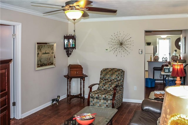 3104 Marion Ave, Mattoon, IL 61938 - photo 8