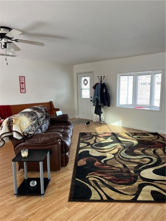 living room with ceiling fan and light hardwood / wood-style flooring