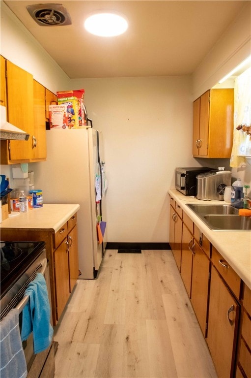 kitchen with ventilation hood, light wood-type flooring, sink, and appliances with stainless steel finishes