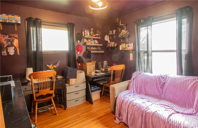 interior space with hardwood / wood-style floors and a wealth of natural light