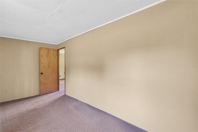 spare room featuring a textured ceiling, ornamental molding, and carpet