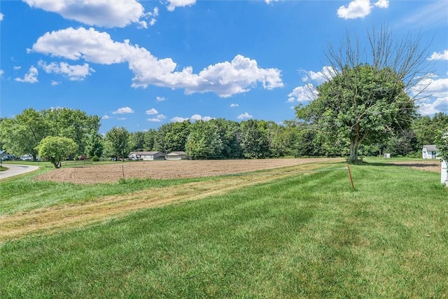 view of yard featuring a rural view