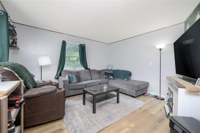 living room featuring light hardwood / wood-style flooring