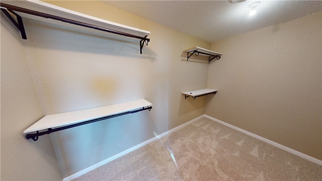 walk in closet featuring light carpet