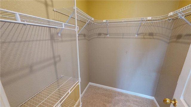 spacious closet with carpet floors