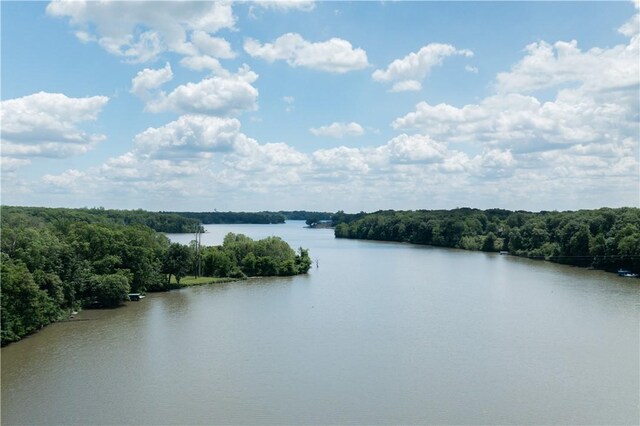 3728 N Lake Blvd, Danville, IL 61832 - water view featuring a forest