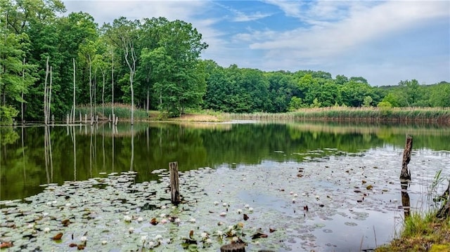 view of water feature