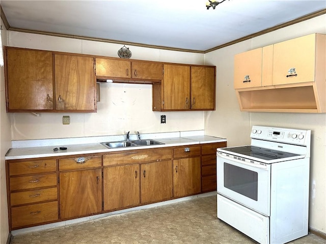 kitchen featuring electric stove, crown molding, and sink