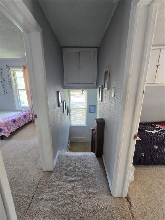 206 N Saint Clair St, Altamont, IL 62411 - photo 20