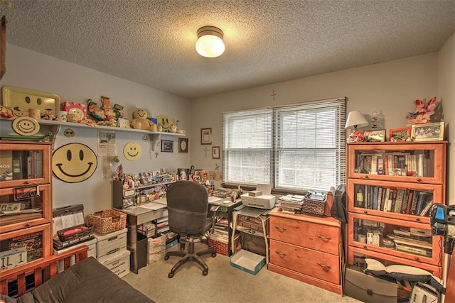 carpeted office with a textured ceiling