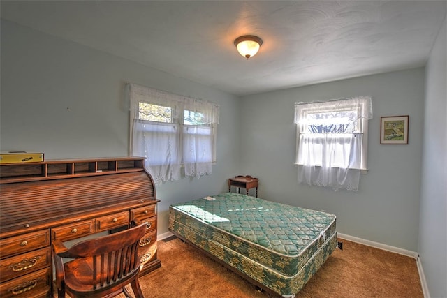 bedroom featuring carpet