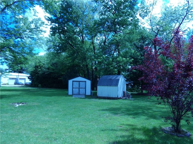 210 Kennedy Ave, Pana, IL 62557 - view of green lawn with a shed and an outdoor structure