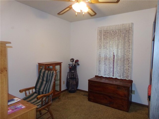 210 Kennedy Ave, Pana, IL 62557 - photo 9
