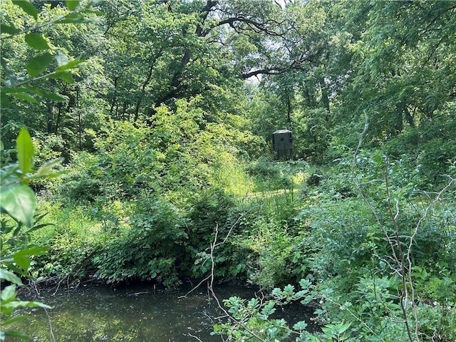 10760 E 1600th St, Cambridge, IL 61238 - view of tree filled area