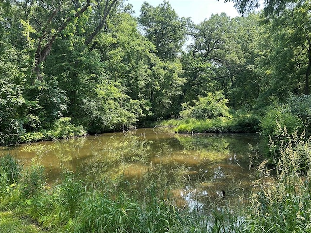 10760 E 1600th St, Cambridge, IL 61238 - view of wooded area