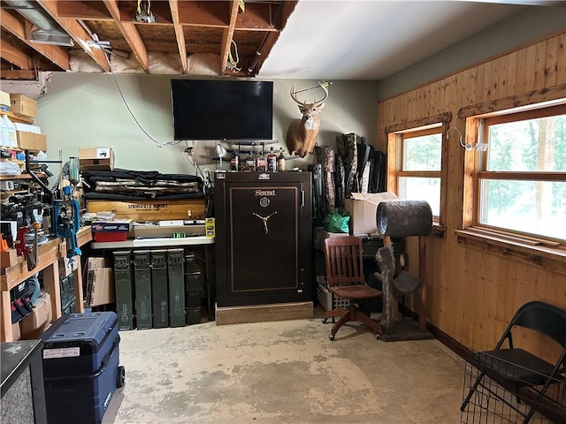 10760 E 1600th St, Cambridge, IL 61238 - basement featuring wooden walls