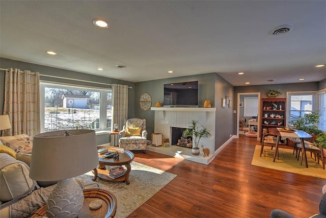 living room with wood-type flooring and a healthy amount of sunlight