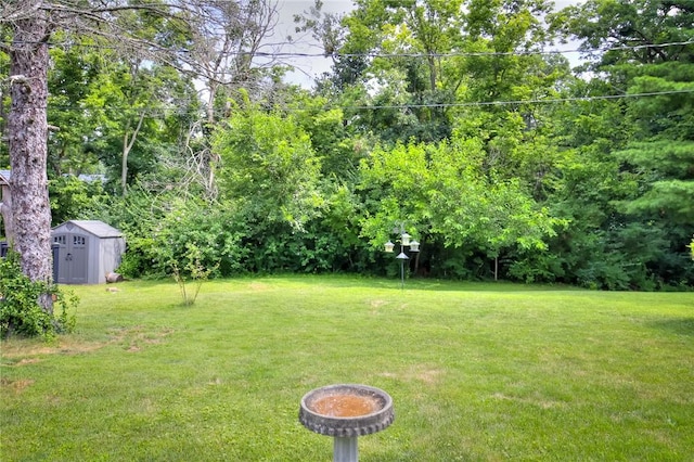 28 Sandcreek Dr, Decatur, IL 62521 - photo 29