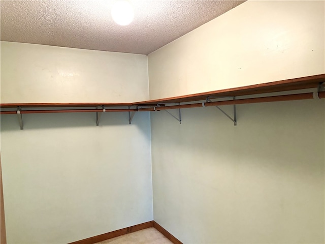 spacious closet featuring light carpet