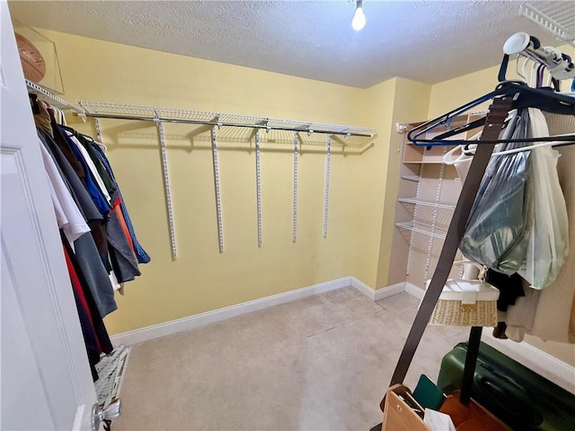 spacious closet featuring carpet flooring
