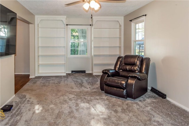 317 Hickory Ln, Mattoon, IL 61938 - sitting room with ceiling fan, carpet, and plenty of natural light