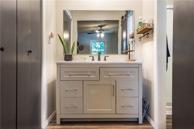 317 Hickory Ln, Mattoon, IL 61938 - bathroom with a ceiling fan, vanity, and wood finished floors