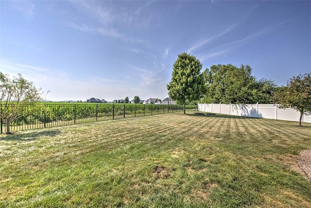 1008 Schroll Dr, Forsyth, IL 62535 - view of yard featuring a view of rural / pastoral area