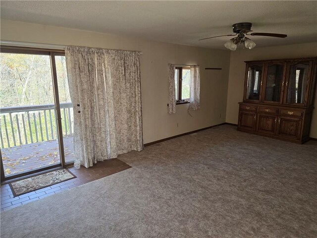 20746 E 400 N, Charleston, IL 61920 - carpeted spare room with a ceiling fan